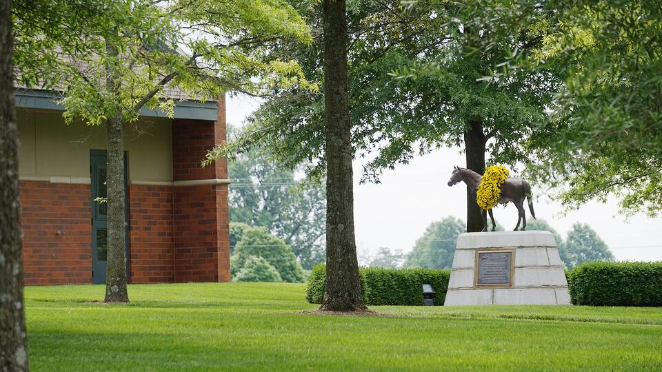 Triple Crown winner Affirmed stands watch over the Jonabell stallion barn