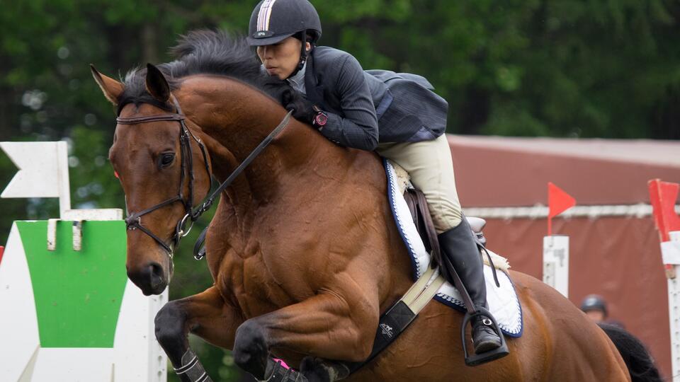 Hoarse Debonair jumping 