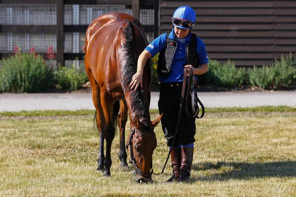 Rider standing next to horse that is grazing