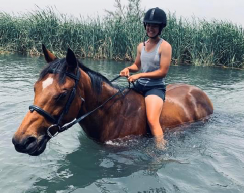 Horse and rider in river