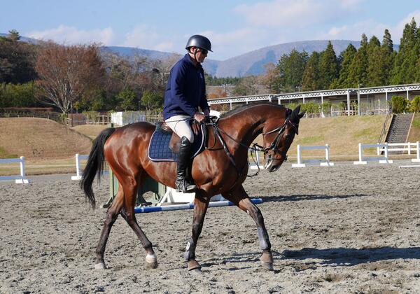 US Olympic eventer Boyd Martin gives a demonstration of technique to his audience. 