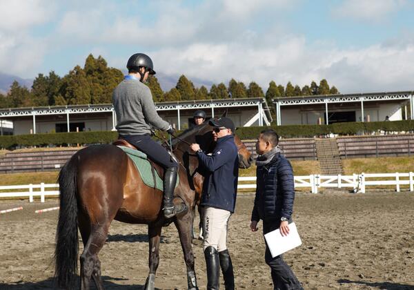 Body assists a rider with positioning to assist the horse in their gait