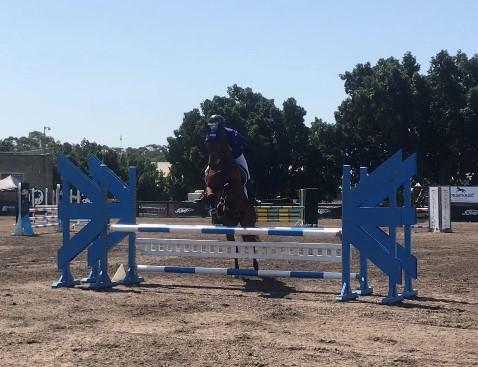 Horse Chetwood jumping fence