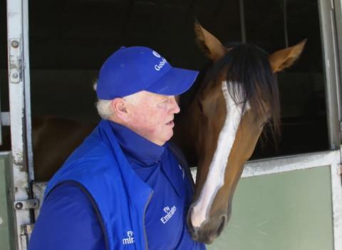 Horse Hartnell with owner Reg