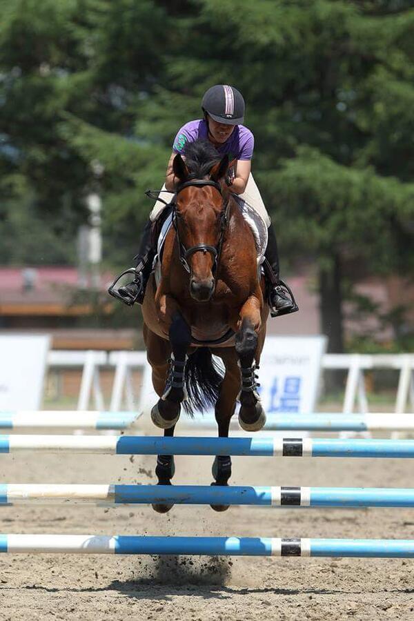 Debonair jumping a fence